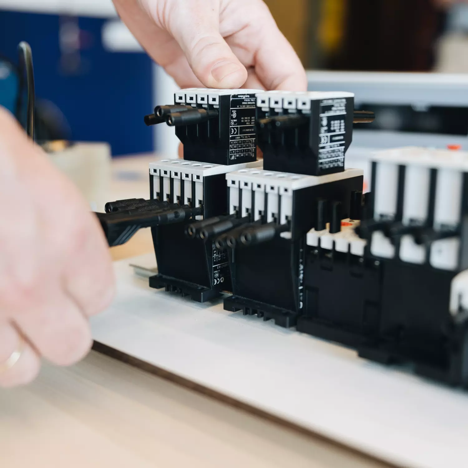 IMG 0285 Barbara Trienen STODT Sept 2021